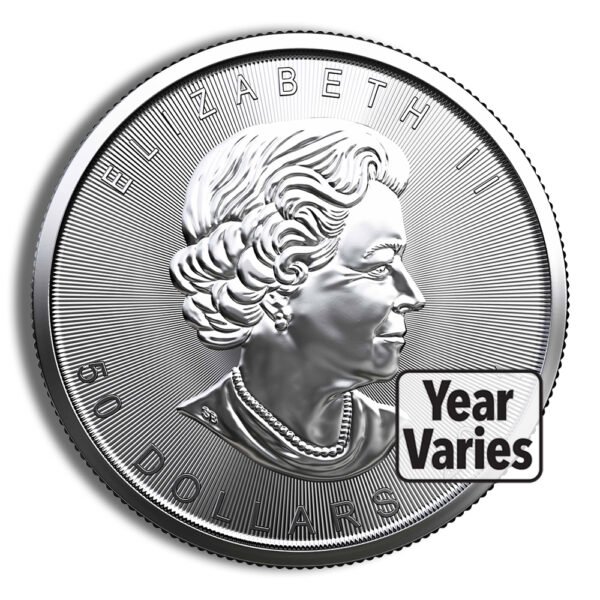 1 oz Canadian Platinum Maple Leaf Coin - Random Year - Brilliant Uncirculated - .9995 Fine Platinum - Image 2