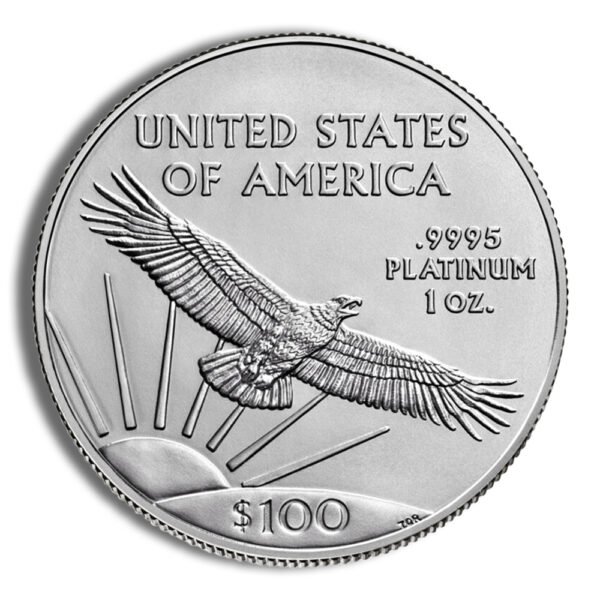 1 oz American Platinum Eagle Coin - Random Year - Brilliant Uncirculated - .9995 Fine Platinum - Image 2